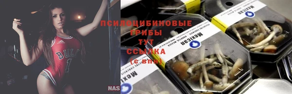 каннабис Баксан